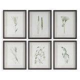 Forest Finds Print