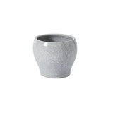 Quincy Pot