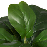 17" Green Fiddle Leaf Fig w/Pot