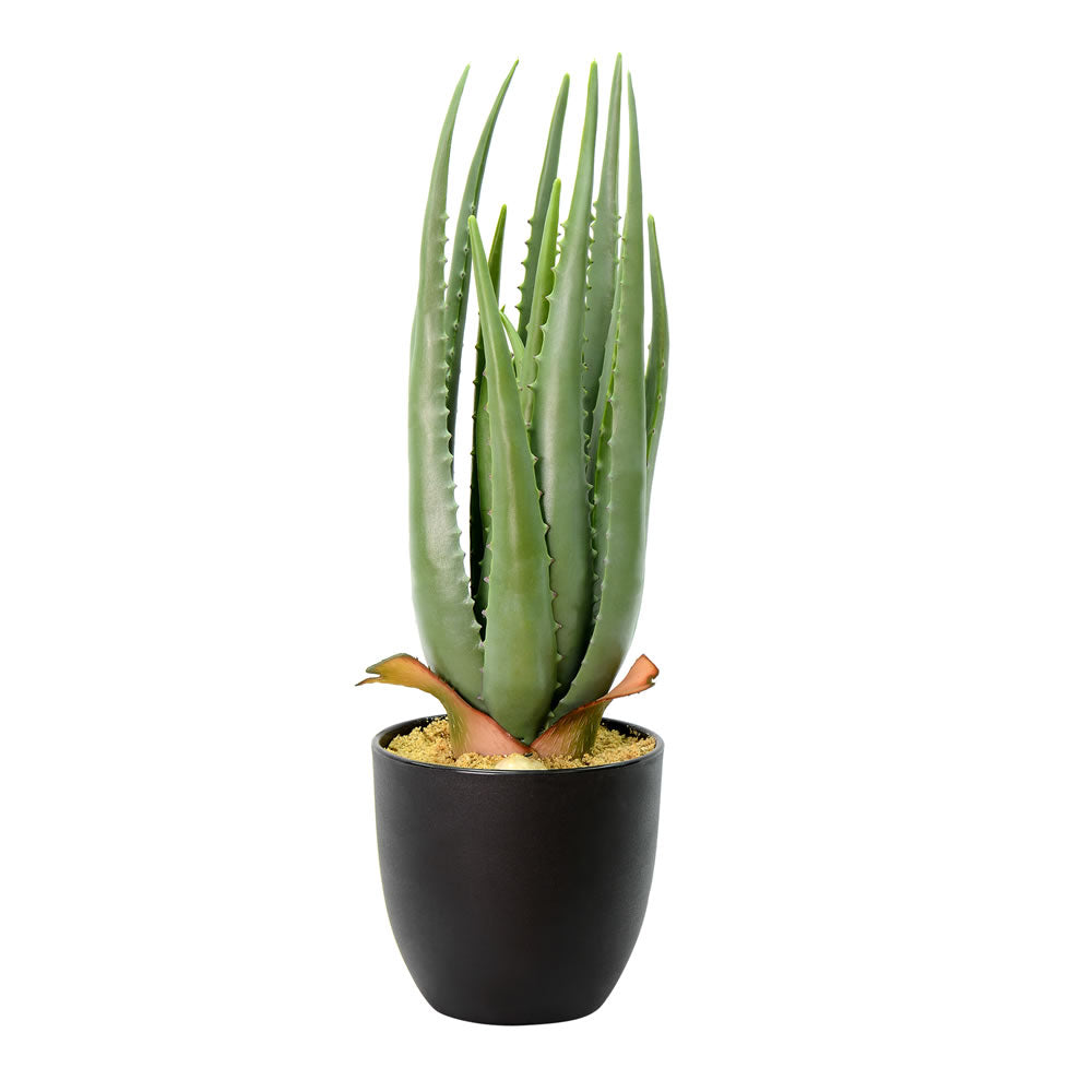 aloe vera artificial plant Vickerman 17.5 inch Artificial Green Potted Aloe Vera