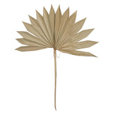 20" Natural Palm Sun Spear
