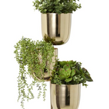 Polished Gold Wall Planter