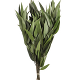 18" Green Eucalyptus Foliage