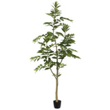 Potted Nandina Tree