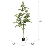 Potted Nandina Tree