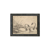 Two Swans Framed Art