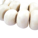 White Bone Beads