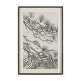 Ponderosa Whisper Art