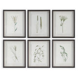 Forest Finds Print