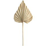 Dried Palm Spear