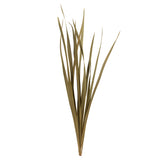 18-30" Natural Snake Grass