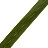 18-30" Basil Snake Grass