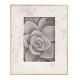 Gold Rimmed Marble Frame
