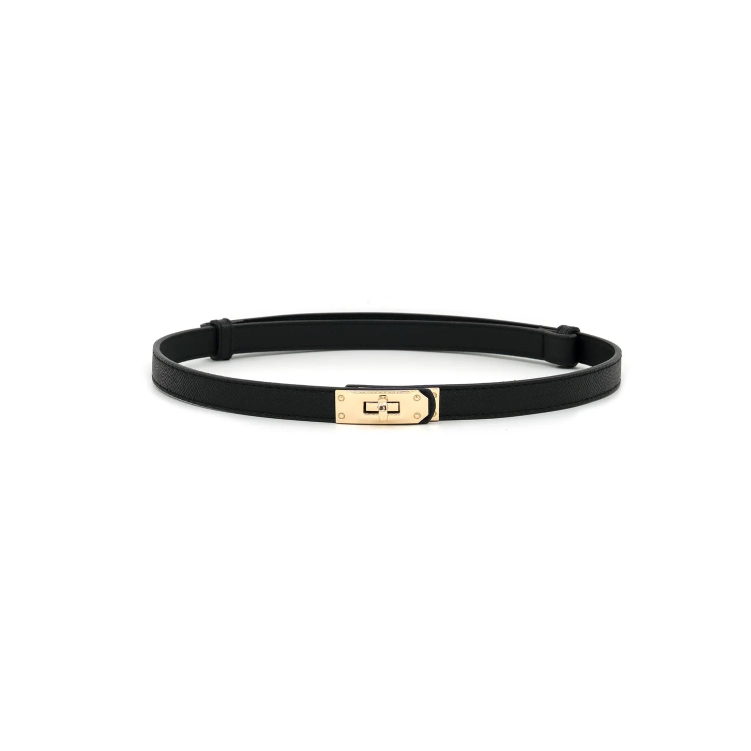 Gold Clasp Belt
