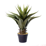 22" Green Potted Aloe Vera