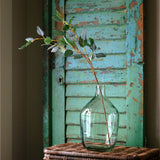 Australian Blue Eucalyptus Stem