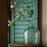 Blue Gum Eucalyptus Stem