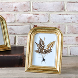 Golden Arch Resin Frame