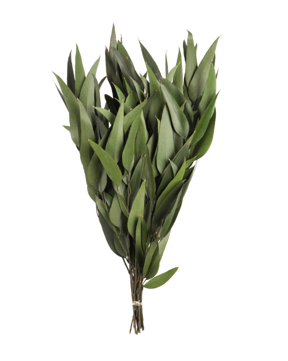 18" Green Eucalyptus Foliage