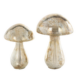 Champagne Glass Mushroom