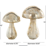 Champagne Glass Mushroom