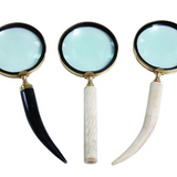 Assorted Magnifying Glass