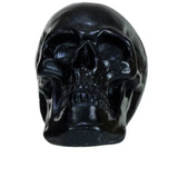 Resin Skull