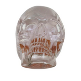 Resin Skull