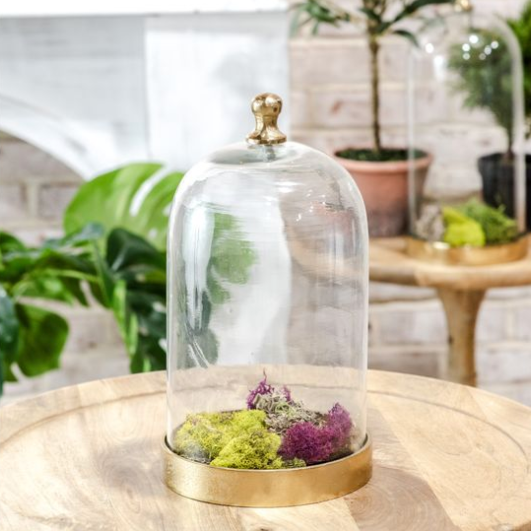 Gold and Glass Cloche