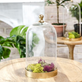 Gold and Glass Cloche