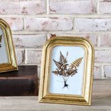 Arch Gold Frame