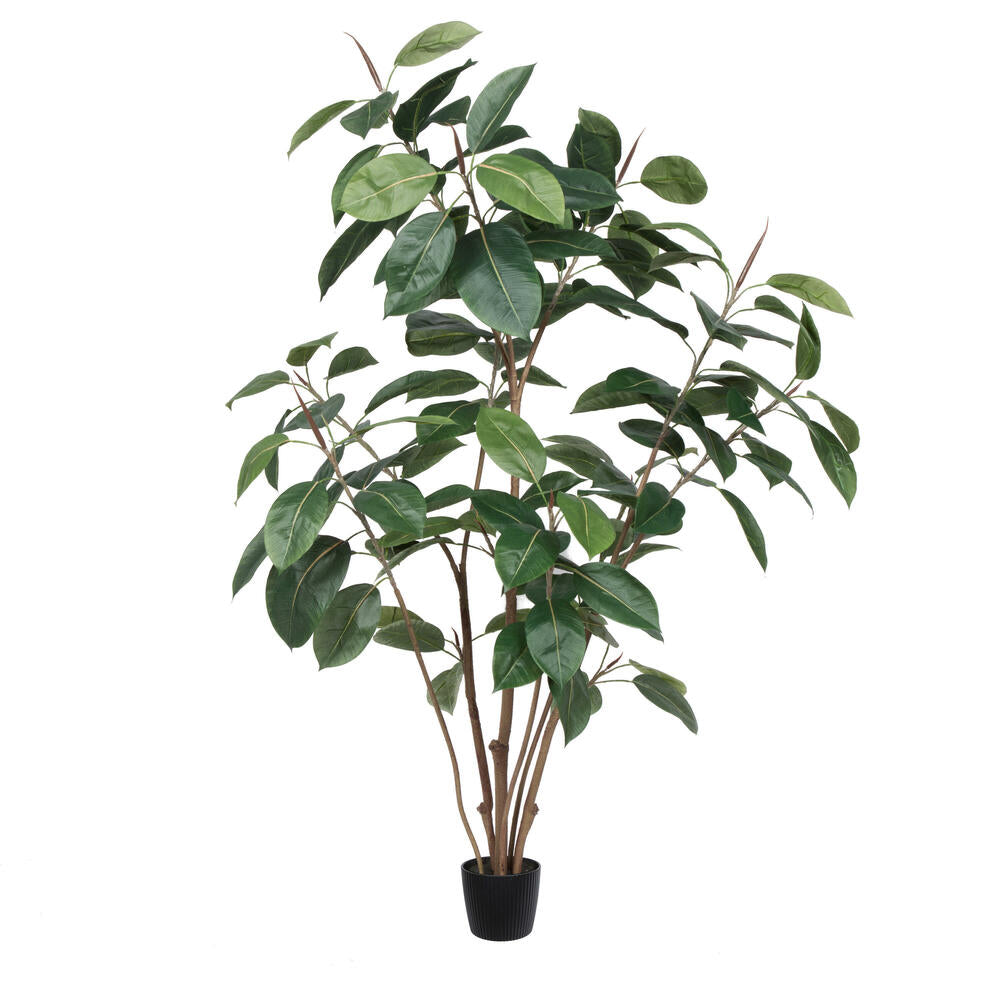audrey rubber tree Vickerman Potted Artificial Green Rubber Tree 5'