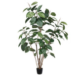The Audrey Tree