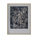 Vintage Fruit & Floral Art