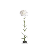 White Carnation Stem