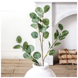 Eucalyptus Spray