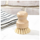 Scrub Brush