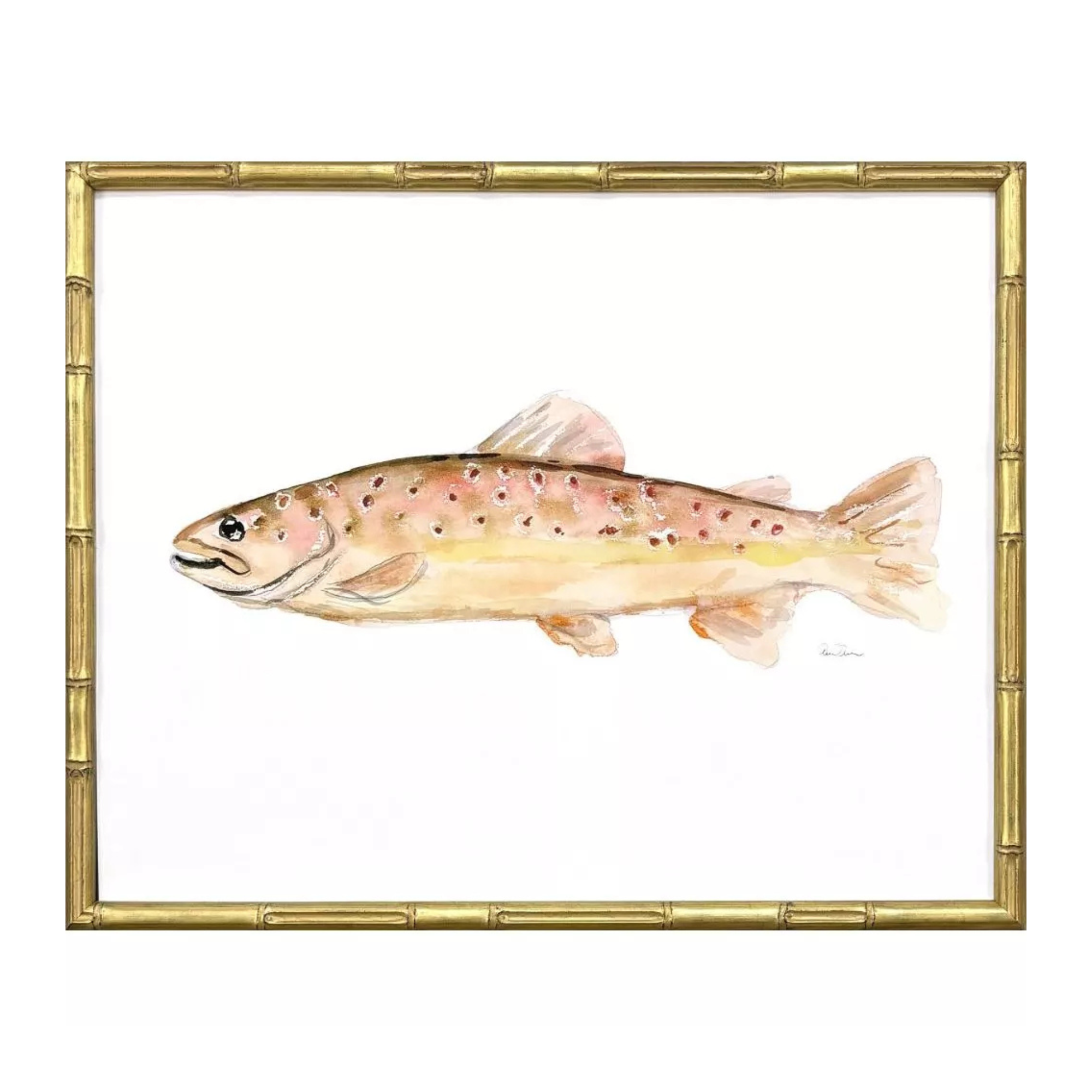Colorful Trout