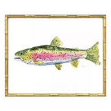 Colorful Trout