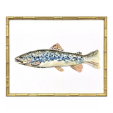 Colorful Trout
