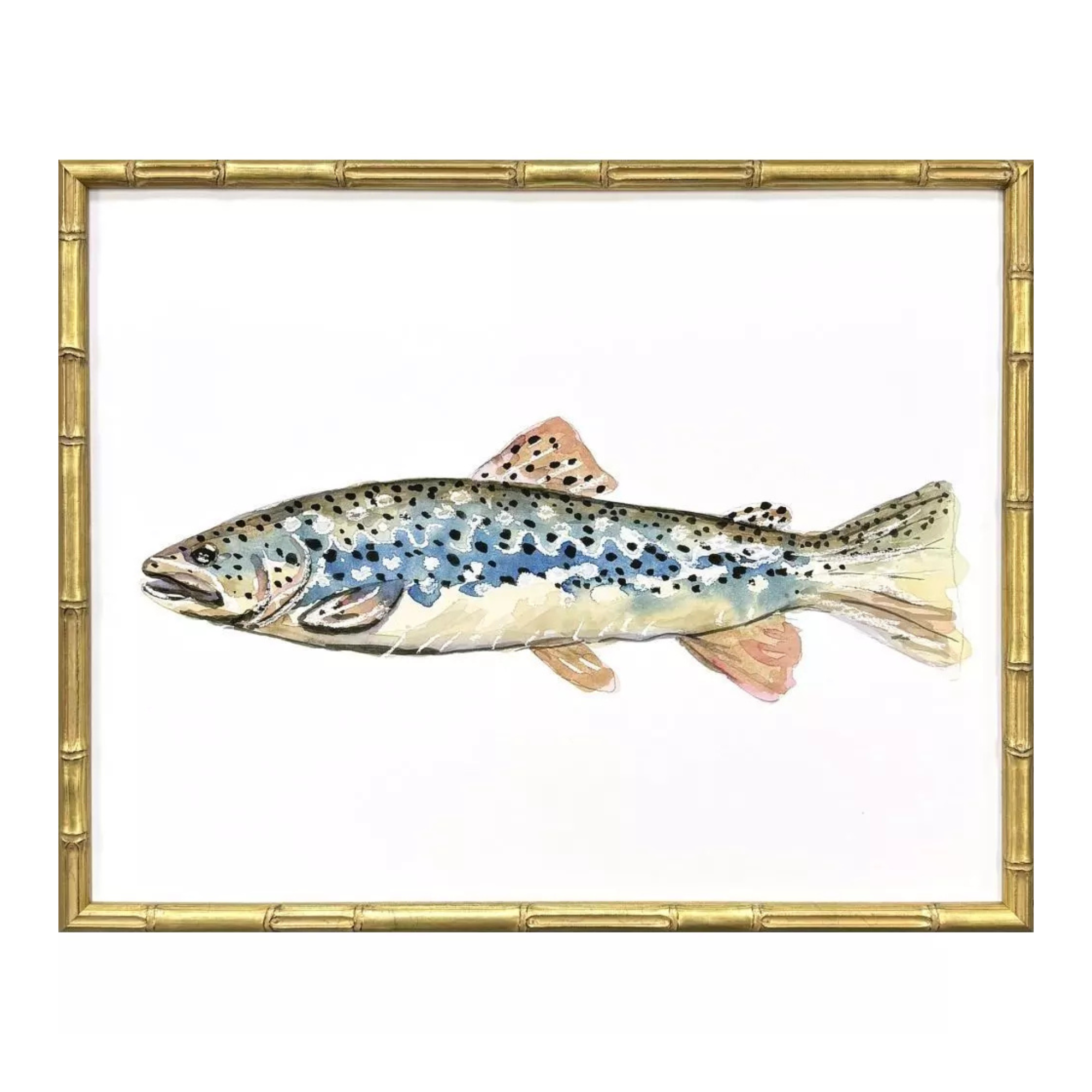 Colorful Trout