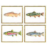 Colorful Trout