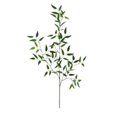 Ruscus Spray