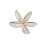 Bleached Bullet Flowers