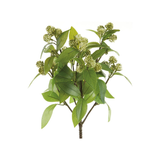 16" Green Sedum Bush