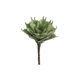 Agave Pick