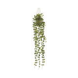 Button Leaf Hanging Basket