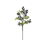 Blueberry Stem