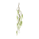Amaranthus Hanging Greenery