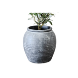 Black Line Planter